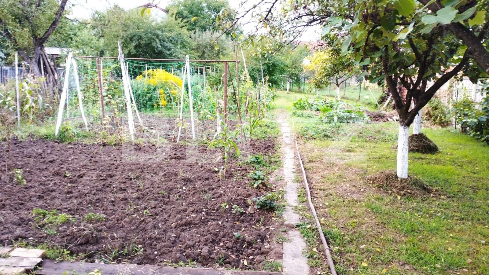 Teren de vânzare Dambul Rotund - 102101TV | BLITZ Cluj-Napoca | Poza3