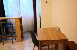 Garsoniera confort 1, decomandat, aer conditionat, 28 mp, zona strazii Garii