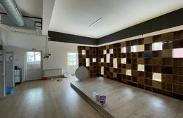 Spatiu comercial, open space, 5 parcari, 350mp, zona strazii Traian Vuia