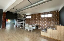 Spatiu comercial, open space, 5 parcari, 350mp, zona strazii Traian Vuia