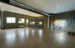 Spatiu comercial, open space, 5 parcari, 350mp, zona strazii Traian Vuia