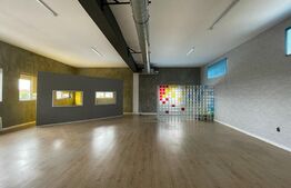 Spatiu comercial, open space, 5 parcari, 350mp, zona strazii Traian Vuia