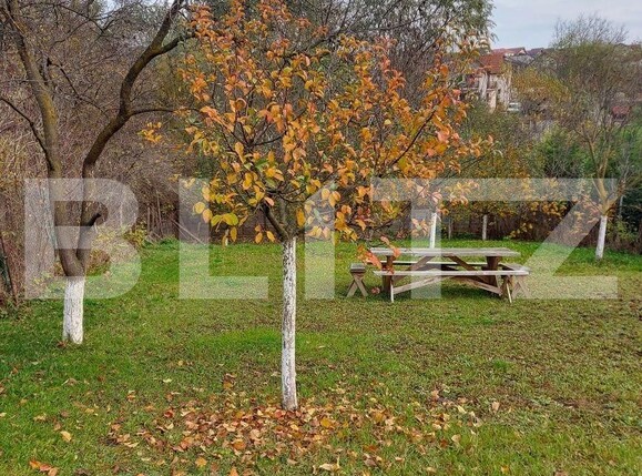 Casa de vânzare 3 camere Iris - 102139CV | BLITZ Cluj-Napoca | Poza3