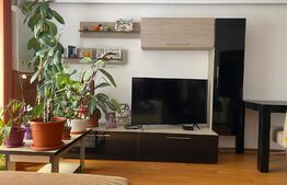 Comsion 0 de la cumparator , apartament spatios, 2 camere, 58 mp, zona Porii