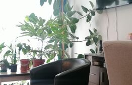 Comsion 0 de la cumparator , apartament spatios, 2 camere, 58 mp, zona Porii