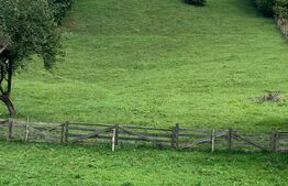 Oportunitate! Teren intravilan de 9.100 mp, Bran 