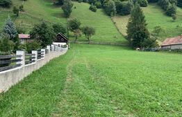 Oportunitate! Teren intravilan de 9.100 mp, Bran 