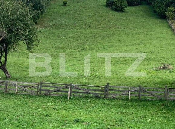 Teren de vânzare Bran - 102155TV | BLITZ Brașov | Poza2