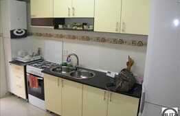 Apartament cu 2 camere de inchiriat, decomandat, 60 mp utili, zona Campului