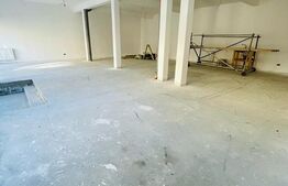Spatiu comercial, 133mp, 2 parcari, zona Teilor