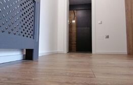 Apartament cu view extraordinar , cochet , 2 camere ,  Zona Teilor