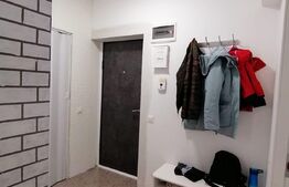 Apartament cochet, 3 camere, zona Porii