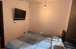Apartament 2 camere, la cheie, 43 mp, zona Edgar Quinet
