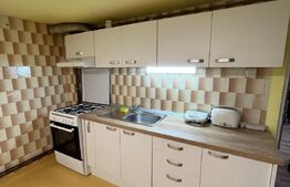 Apartament 4 camere, 120 mp, curte, zona UMF