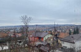 Pont! Casa individuala, 270 mp, 350 mp de teren, 11 camere, Dambul Rotund