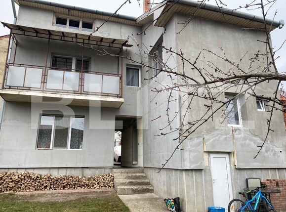 Casa de vânzare 11 camere Dambul Rotund - 102284CV | BLITZ Cluj-Napoca | Poza1