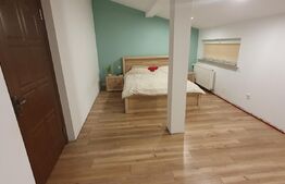 Casa individuala, 110 mp utili, 410 mp teren, garaj, Salicea 