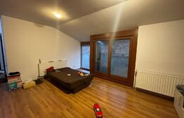 Spatiu de birou, 310 mp, hala 250 mp, curte, zona străzii Oașului 