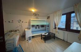 Spatiu de birou, 310 mp, hala 250 mp, curte, zona străzii Oașului 