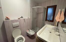 Casa 310 mp, hala 250 mp, parcări, curte, zona străzii Oasului