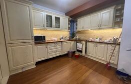Casa 310 mp, hala 250 mp, parcări, curte, zona străzii Oasului