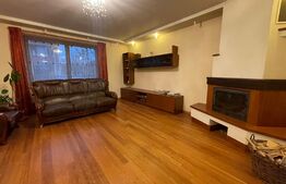 Casa 310 mp, hala 250 mp, parcări, curte, zona străzii Oasului