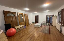 Casa 310 mp, hala 250 mp, parcări, curte, zona străzii Oasului