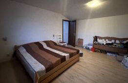 Casa 310 mp, hala 250 mp, parcări, curte, zona străzii Oasului