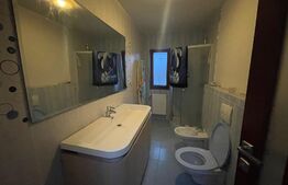 Casa 310 mp, hala 250 mp, parcări, curte, zona străzii Oasului