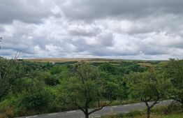 Teren de 3000 mp, front de 100 , Radaia