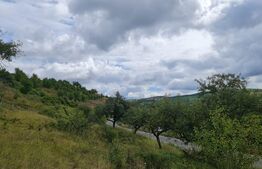 Teren de 3000 mp, front de 100 , Radaia