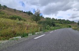 Teren de 3000 mp, front de 100 , Radaia