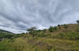 Teren de 3000 mp, front de 100 , Radaia