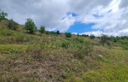 Teren de 3000 mp, front de 100 , Radaia