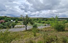 Teren de 3000 mp, front de 100 , Radaia