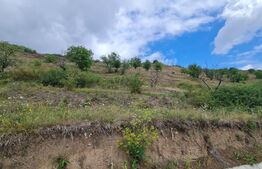 Teren de 3000 mp, front de 100 , Radaia