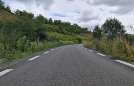 Teren de 3000 mp, front de 100 , Radaia