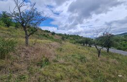 Teren de 3000 mp, front de 100 , Radaia