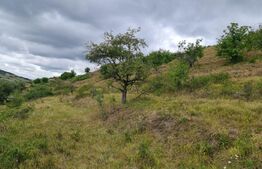 Teren de 3000 mp, front de 100 , Radaia