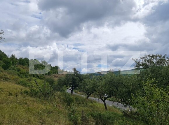 Teren de vânzare Radaia - 102363TV | BLITZ Cluj-Napoca | Poza3