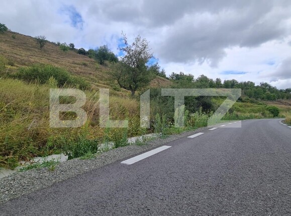 Teren de vânzare Radaia - 102363TV | BLITZ Cluj-Napoca | Poza10