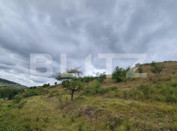 Teren de vânzare Radaia - 102363TV | BLITZ Cluj-Napoca | Poza4