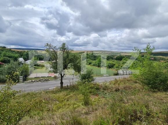 Teren de vânzare Radaia - 102363TV | BLITZ Cluj-Napoca | Poza8