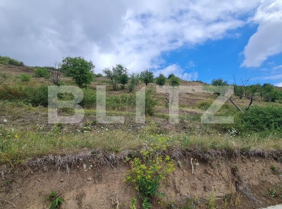 Teren de vânzare Radaia - 102363TV | BLITZ Cluj-Napoca | Poza7