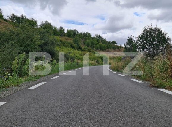 Teren de vânzare Radaia - 102363TV | BLITZ Cluj-Napoca | Poza1