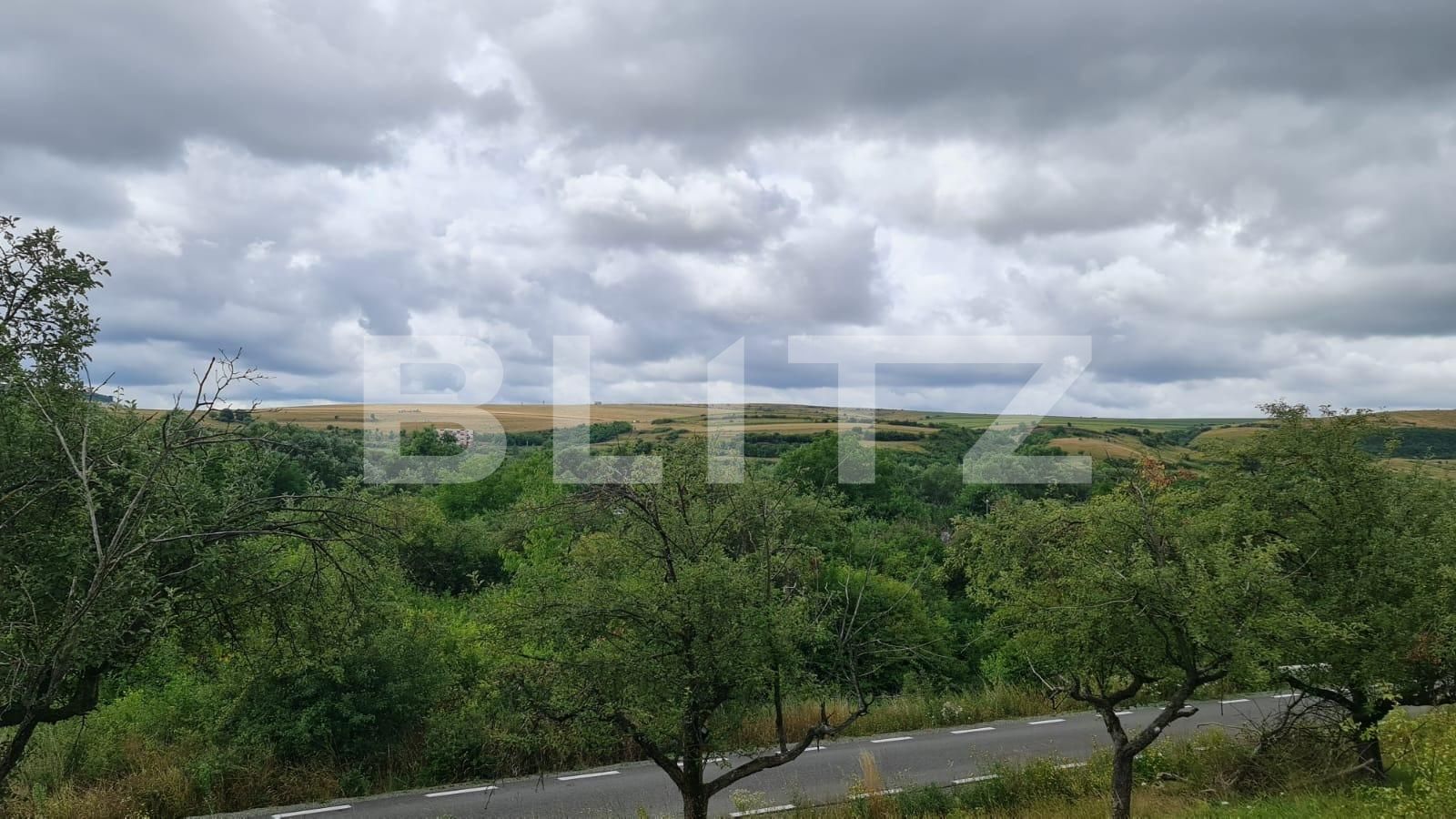 Teren de vânzare Radaia - 102363TV | BLITZ Cluj-Napoca | Poza6