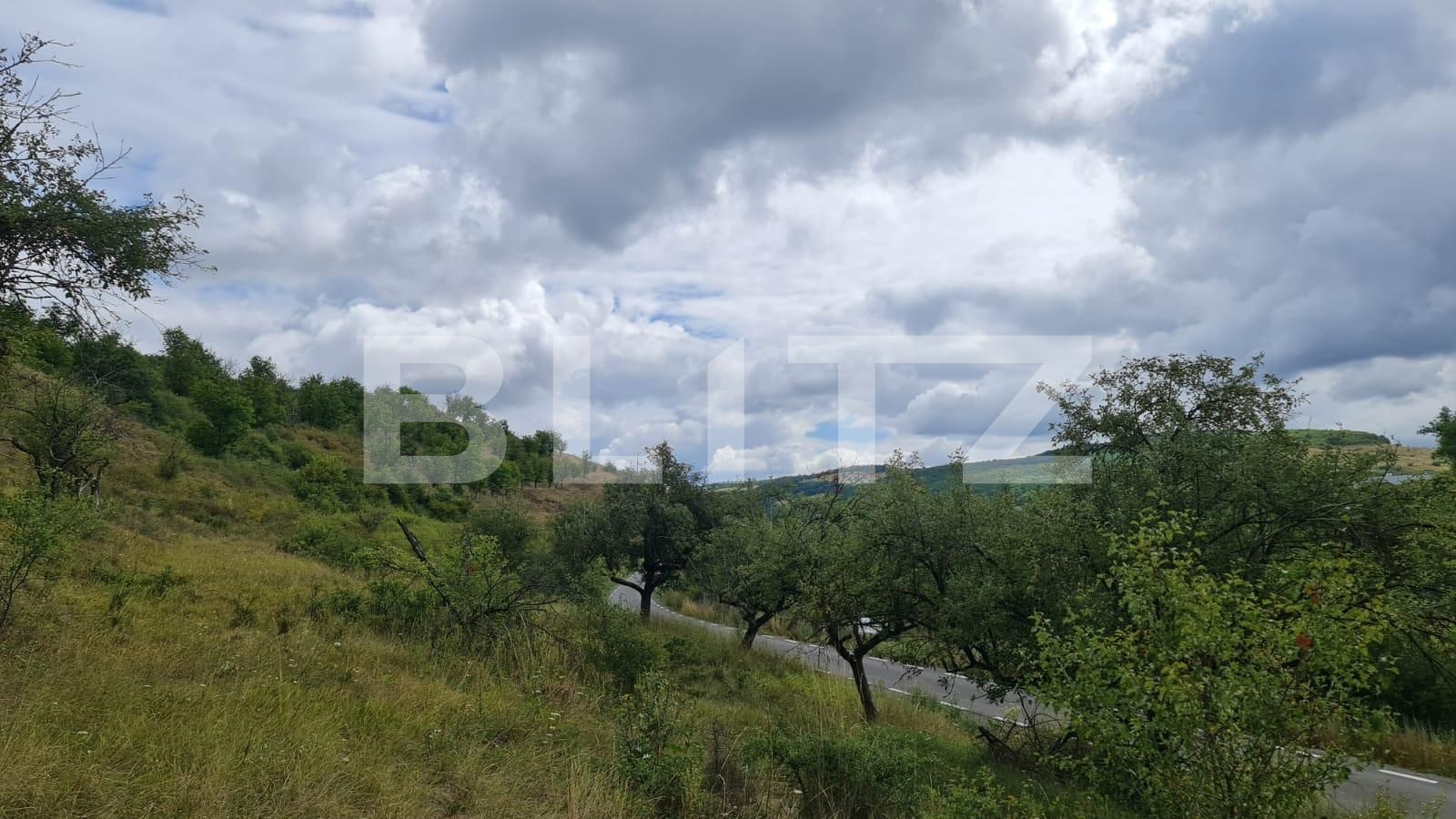 Teren de vânzare Radaia - 102363TV | BLITZ Cluj-Napoca | Poza3