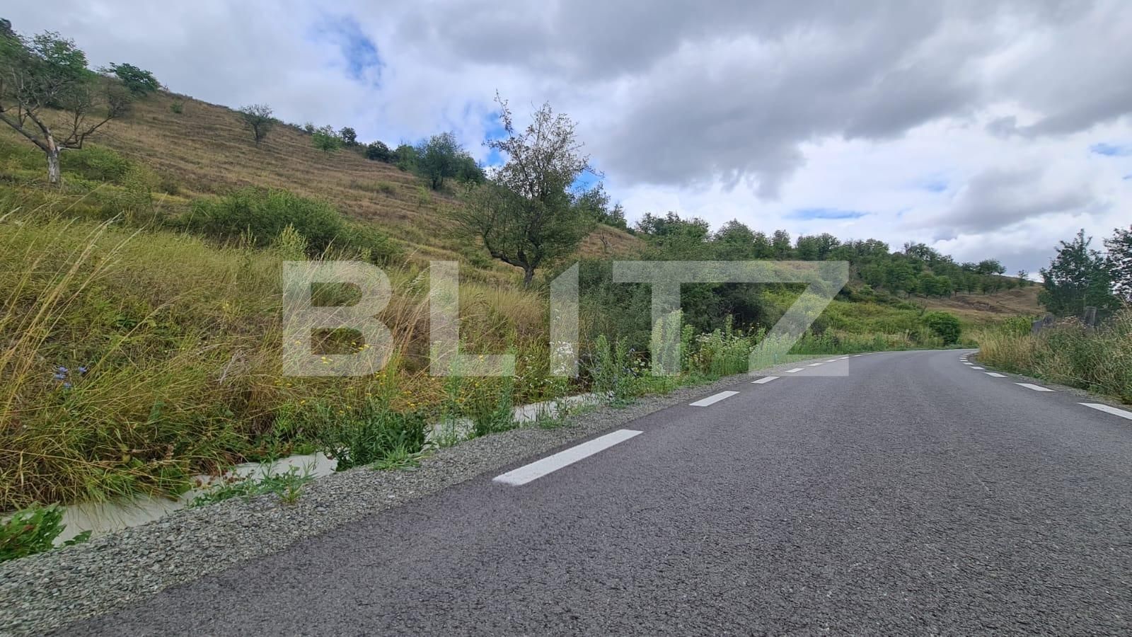 Teren de vânzare Radaia - 102363TV | BLITZ Cluj-Napoca | Poza10