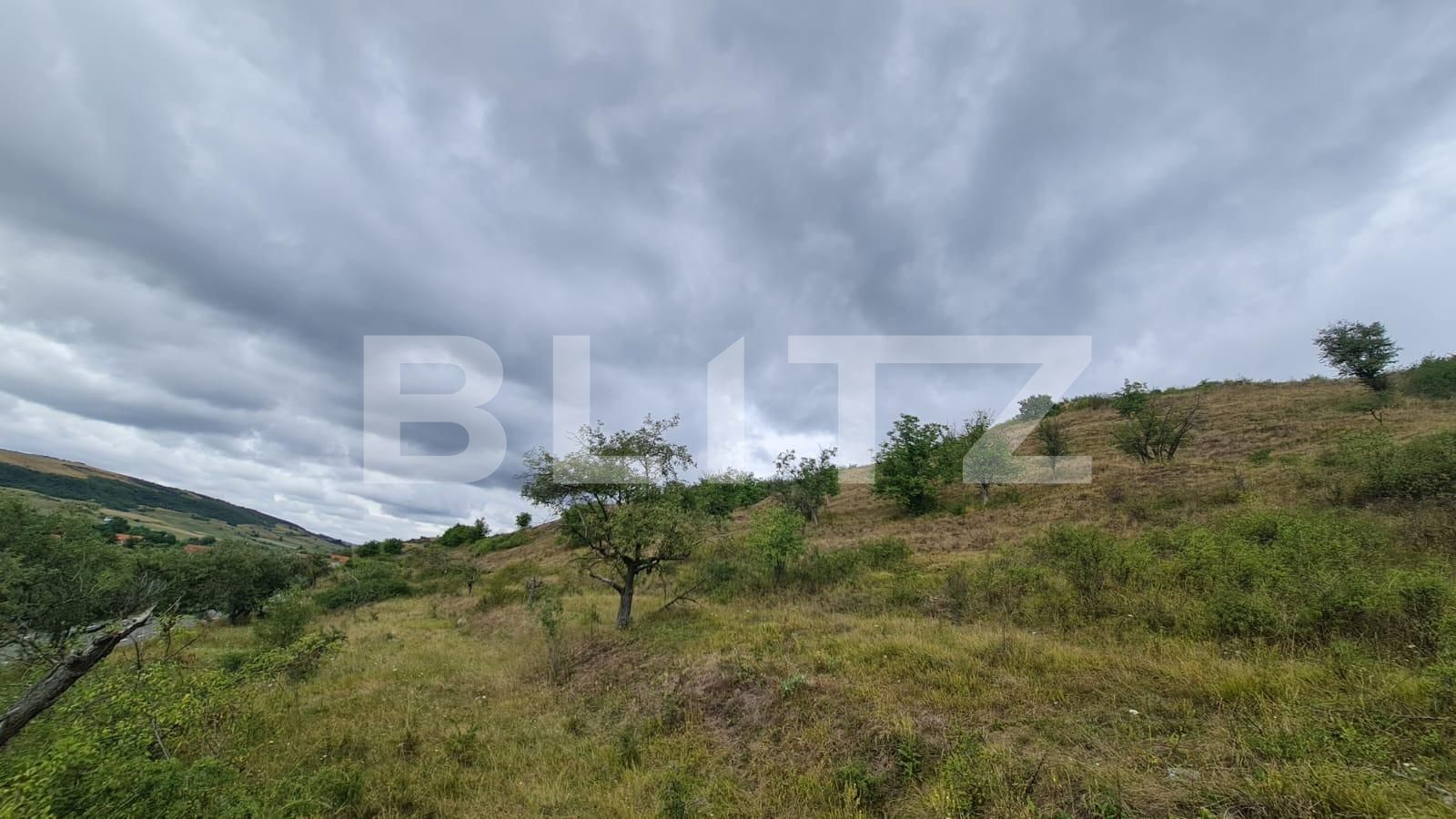 Teren de vânzare Radaia - 102363TV | BLITZ Cluj-Napoca | Poza4