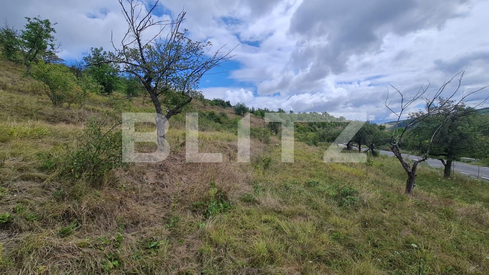 Teren de vânzare Radaia - 102363TV | BLITZ Cluj-Napoca | Poza12